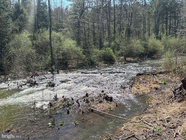 111 Heron Ln, Augusta, WV 26704 - view of local wilderness