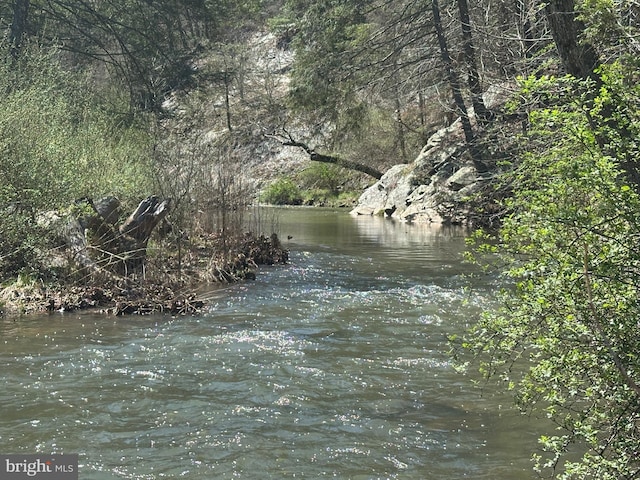 111 Heron Ln, Augusta, WV 26704 - water view
