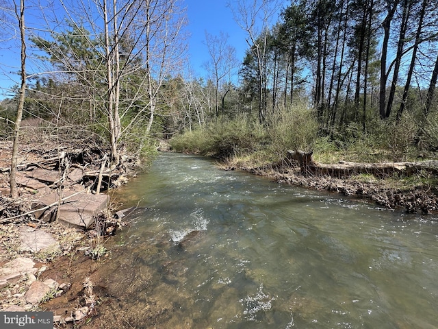 111 Heron Ln, Augusta, WV 26704 - water view