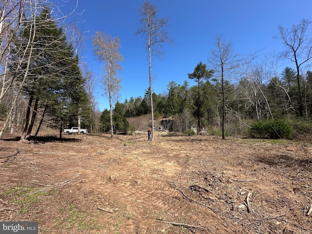 111 Heron Ln, Augusta, WV 26704 - view of undeveloped land