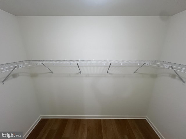 16722 Custer Ct, Williamsport, MD 21795 - spacious closet with dark wood-style floors