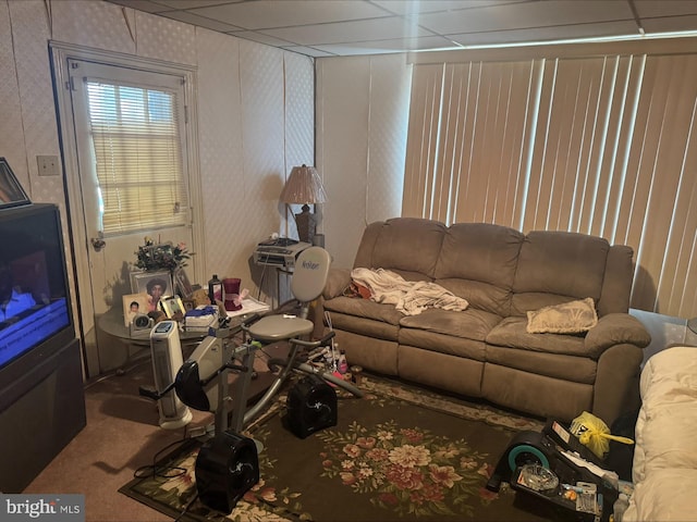 1646 W Norwegian St, Pottsville, PA 17901 - living area featuring carpet floors