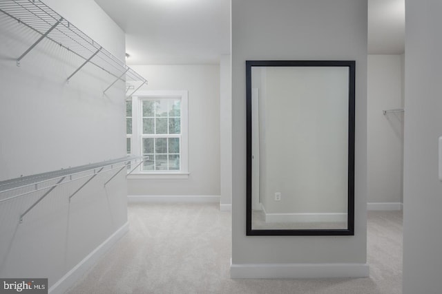 2682 Broadhorn Dr, Odenton, MD 21113 - walk in closet featuring light colored carpet