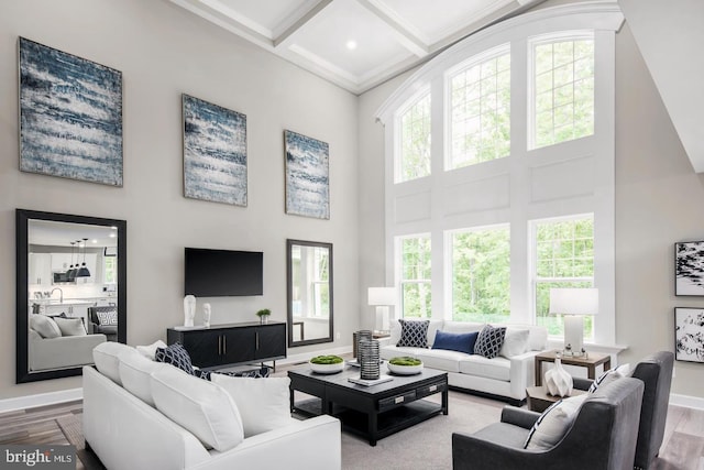 2682 Broadhorn Dr, Odenton, MD 21113 - living area with baseboards, a towering ceiling, and a healthy amount of sunlight