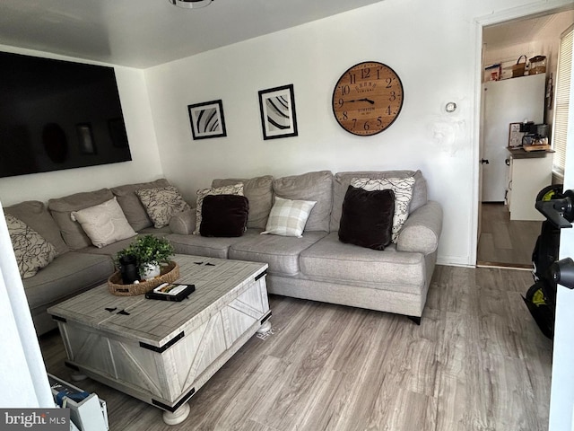 living area with wood finished floors