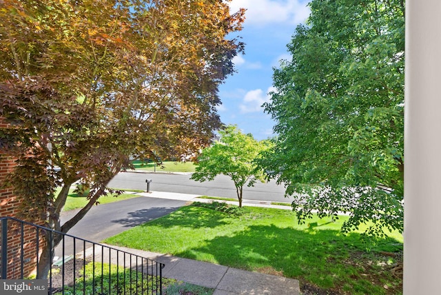 902 Santmyer Dr SE, Leesburg, VA 20175 - view of green lawn