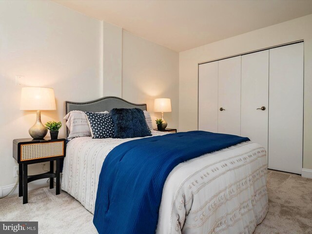 316 Burnside St Unit 101, Annapolis, MD 21403 - bedroom featuring light colored carpet and a closet