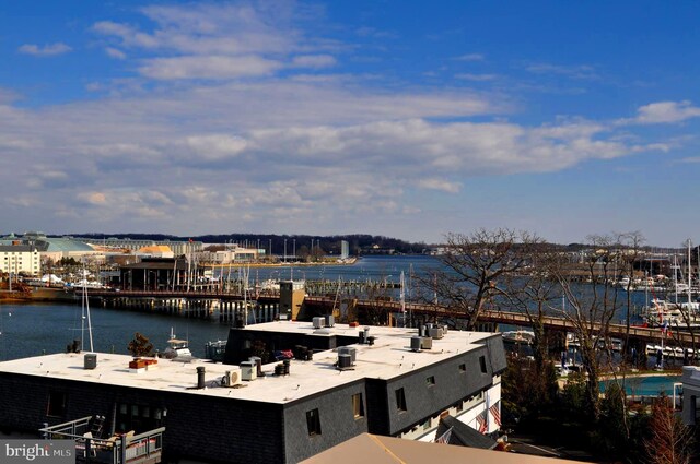 316 Burnside St Unit 101, Annapolis, MD 21403 - water view