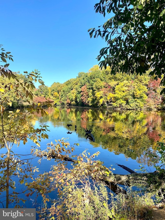 view of water feature featuring a wooded view