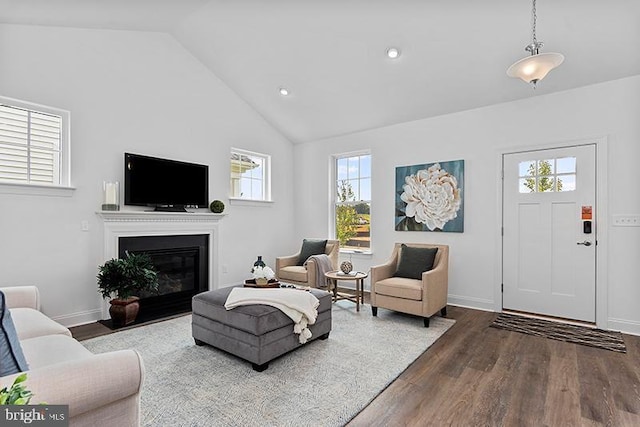 412 Dexter Dr Unit 137Ashton, Carriage, Middletown, DE 19709 - living area with lofted ceiling, wood finished floors, healthy amount of natural light, a glass covered fireplace, and baseboards