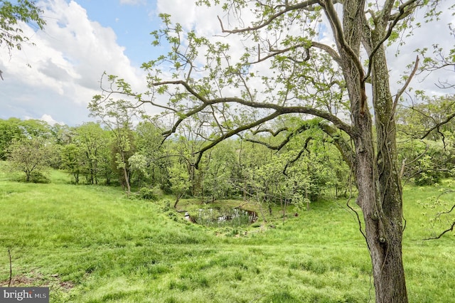 501 Walker Hill Rd, Newport, PA 17074 - view of wooded area
