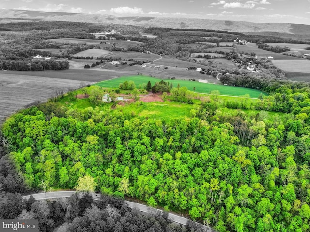501 Walker Hill Rd, Newport, PA 17074 - drone / aerial view