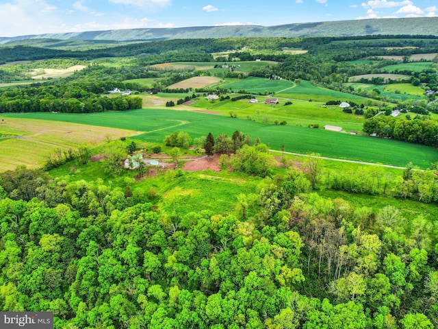 501 Walker Hill Rd, Newport, PA 17074 - view of rural area with a mountainous background