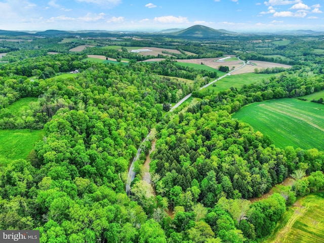 501 Walker Hill Rd, Newport, PA 17074 - bird's eye view of a mountainous background and a forest