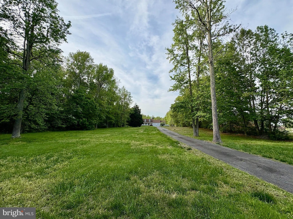 view of street with aphalt driveway