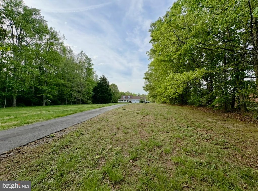 view of road featuring a wooded view and aphalt driveway