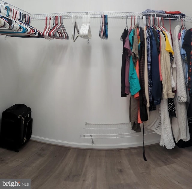 walk in closet with wood finished floors