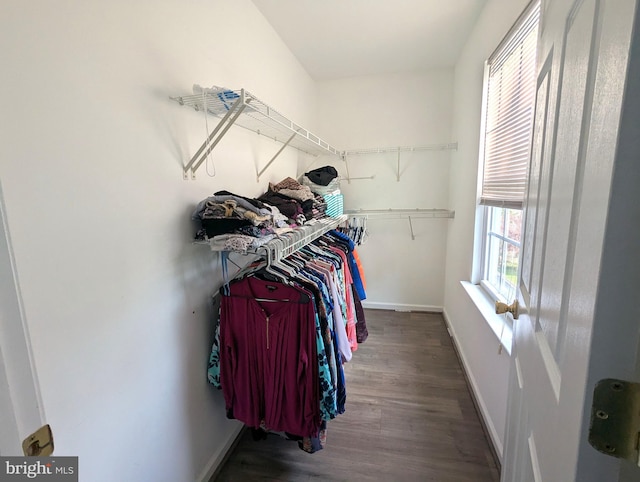 walk in closet featuring wood finished floors