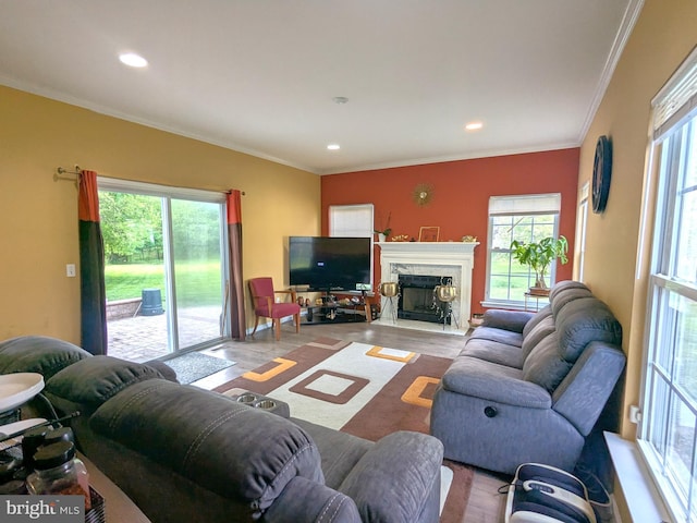 living area featuring healthy amount of natural light, wood finished floors, recessed lighting, crown molding, and a fireplace