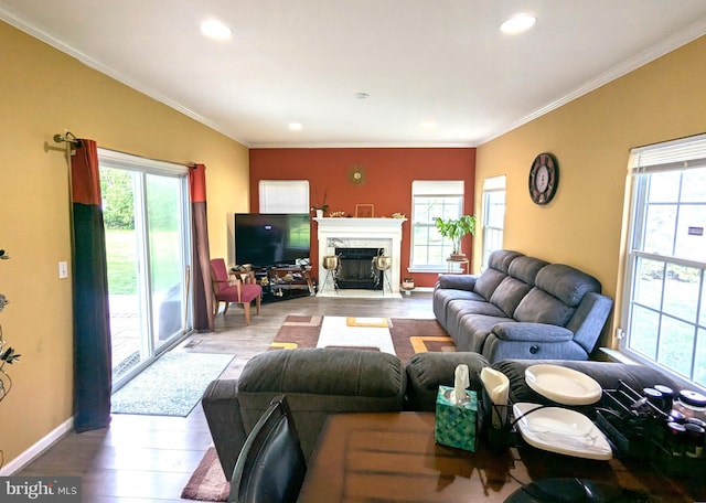 living area featuring plenty of natural light, wood finished floors, baseboards, a high end fireplace, and crown molding