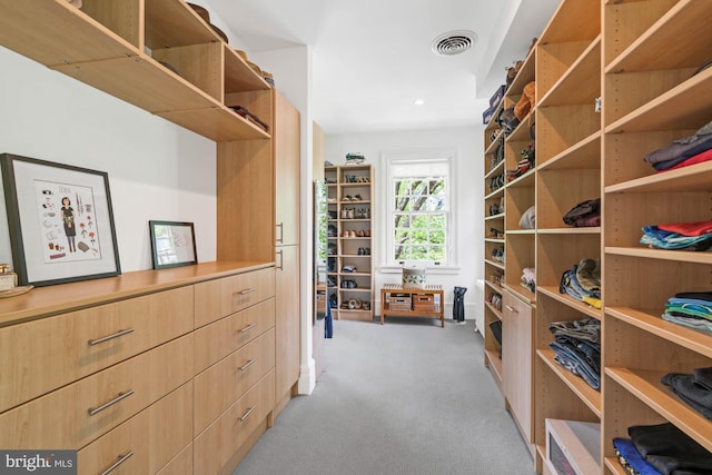3101 Highland Pl NW, Washington, DC 20008 - spacious closet with light colored carpet and visible vents