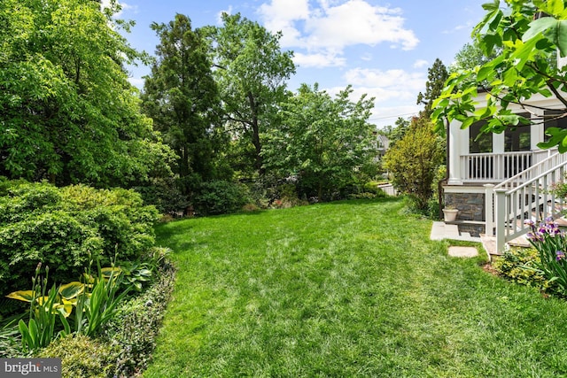 3101 Highland Pl NW, Washington, DC 20008 - view of yard with stairs
