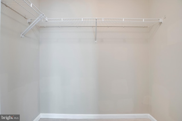 view of walk in closet
