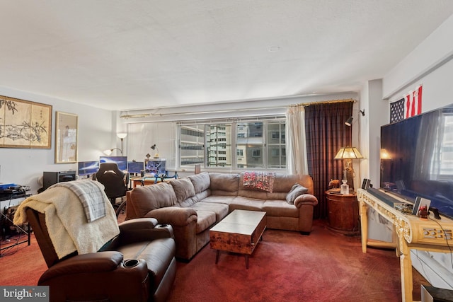 view of carpeted living area