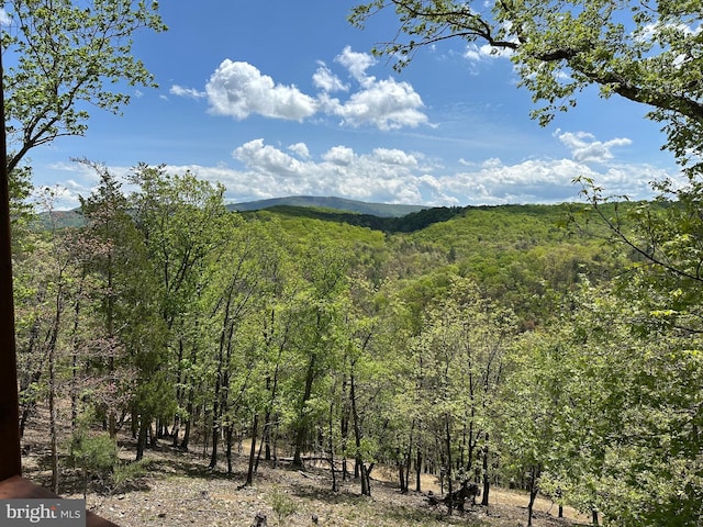 mountain view featuring a forest view