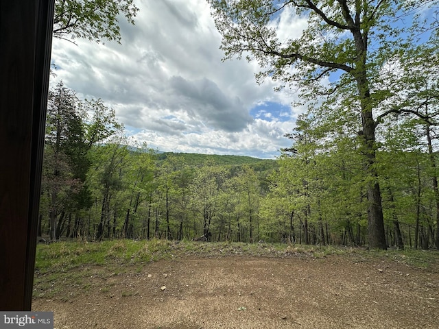 view of nature with a wooded view