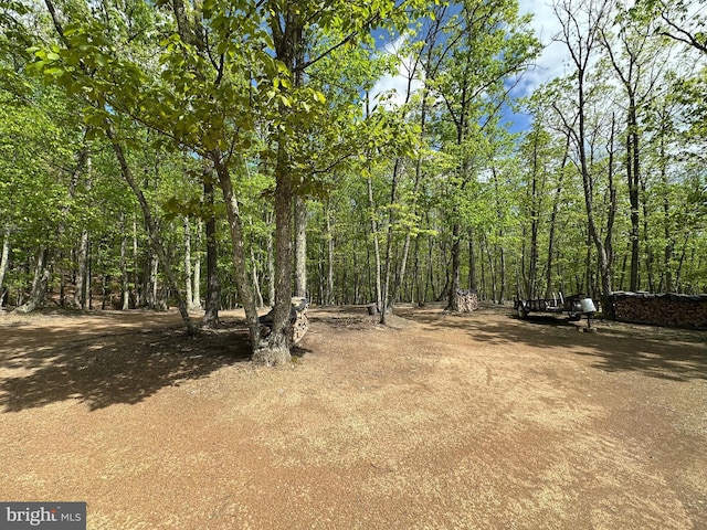 view of yard featuring a forest view