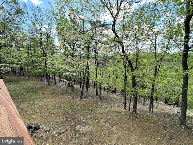view of landscape