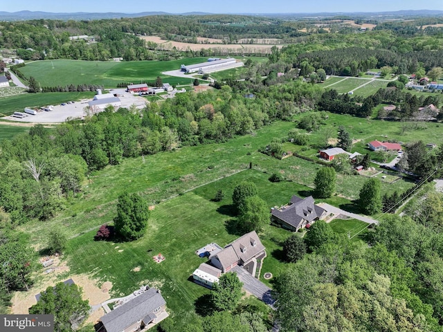 drone / aerial view