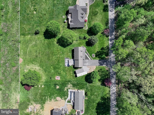 drone / aerial view