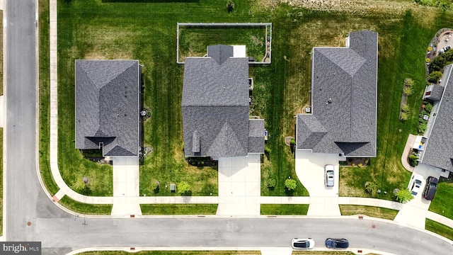 bird's eye view
