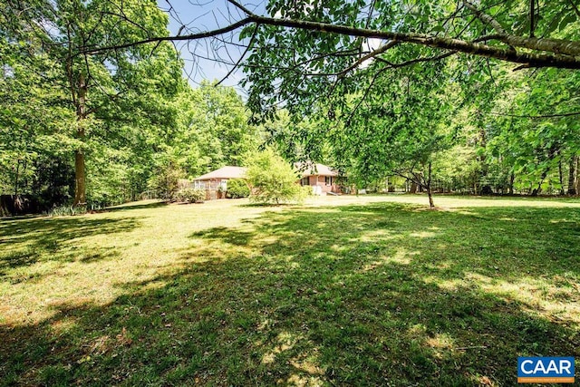 view of yard featuring a wooded view
