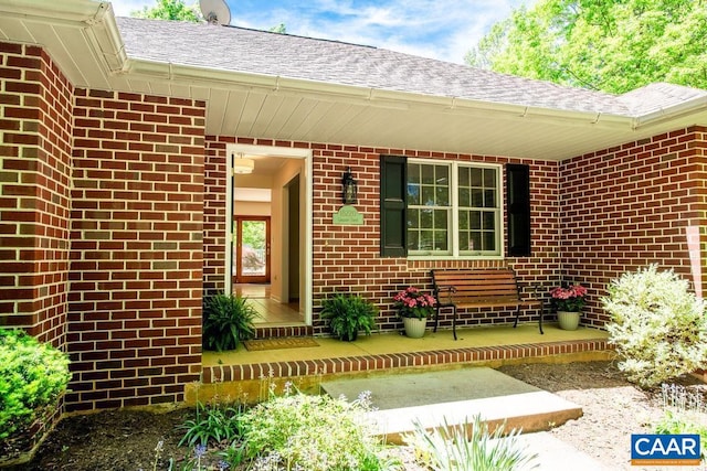 view of exterior entry with a porch, brick siding, and a shingled roof