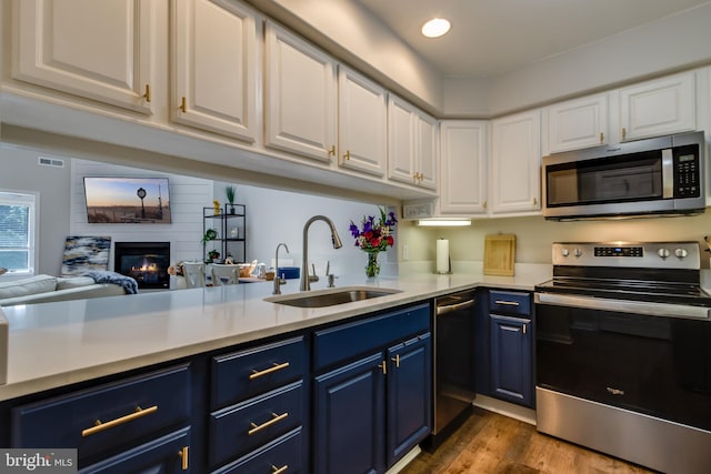 kitchen featuring light countertops, appliances with stainless steel finishes, a sink, and blue cabinets