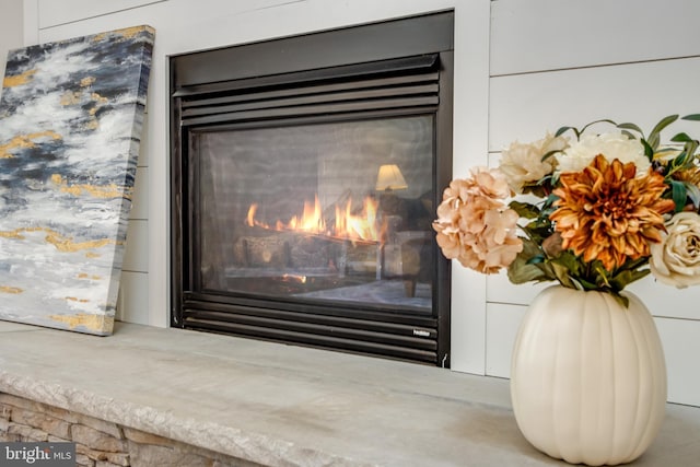 details featuring a glass covered fireplace
