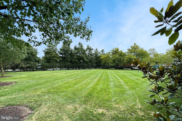 712 Pearson Point Pl, Annapolis, MD 21401 - view of grassy yard