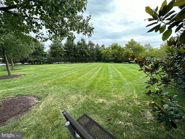 712 Pearson Point Pl, Annapolis, MD 21401 - view of green lawn
