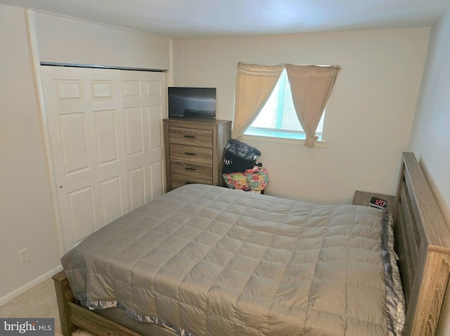 16 Egret Ct, Newark, DE 19702 - carpeted bedroom featuring a closet