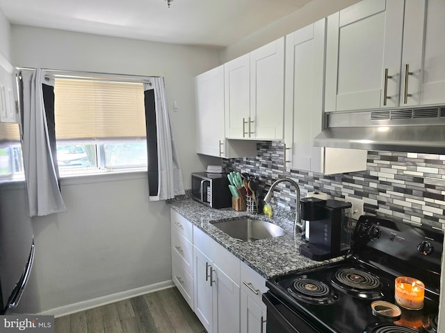 16 Egret Ct, Newark, DE 19702 - kitchen with black electric range, under cabinet range hood, decorative backsplash, and a sink