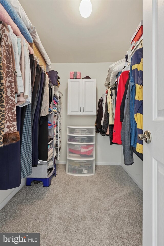 spacious closet with carpet flooring