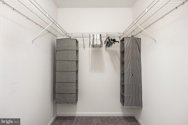 7241 Martin Farm Cir, Baltimore, MD 21237 - view of spacious closet