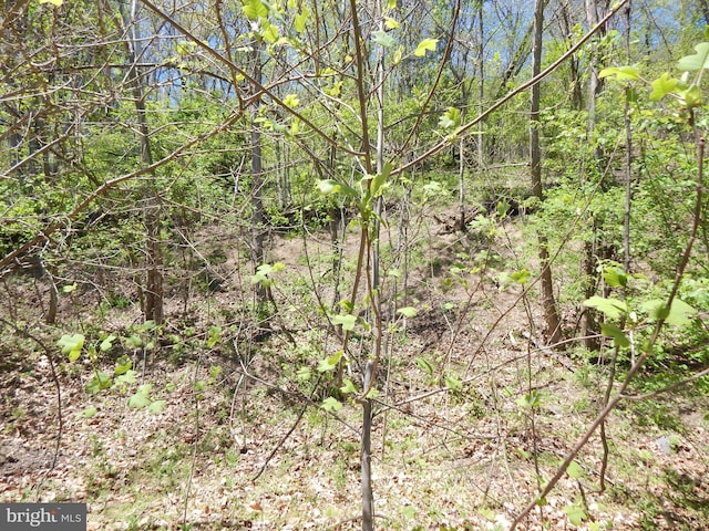 746 Puffenburger Ln, Hedgesville, WV 25427