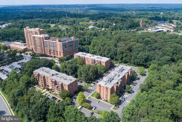 3 Southerly Ct Unit 602, Towson, MD 21286 - view of property location featuring a heavily wooded area