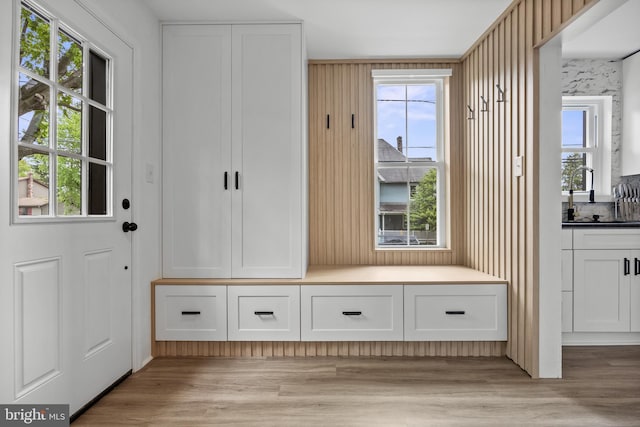 mudroom with a sink and light wood finished floors