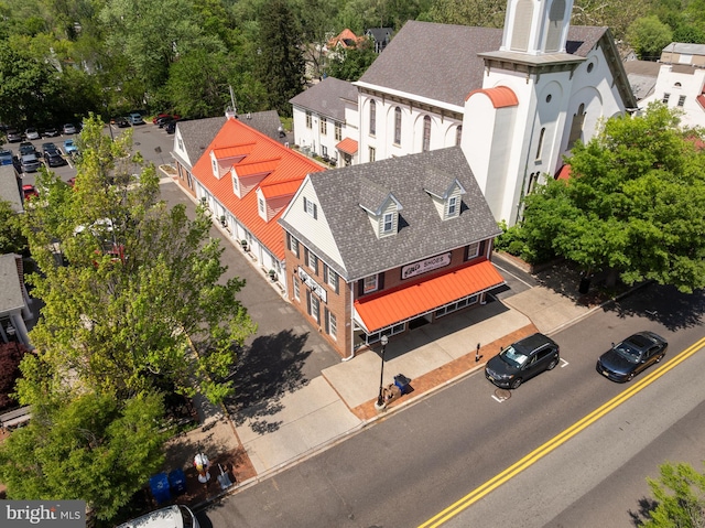 bird's eye view