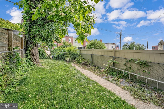 1621 Lyman Pl NE, Washington, DC 20002 - view of yard